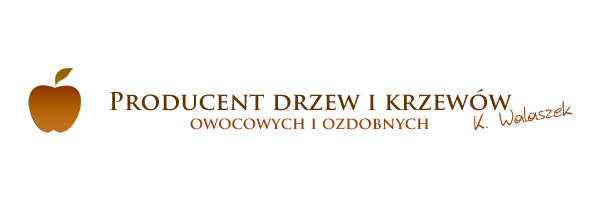 Producent drzew i krzewów owocowych i ozdobnych Krzysztof Walaszek